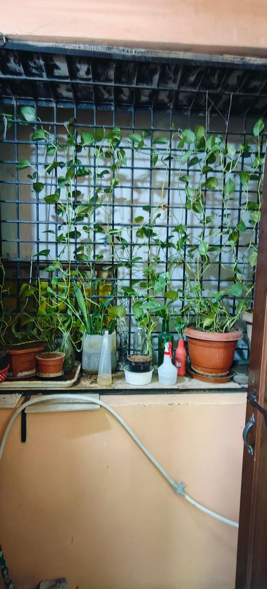 Apartament Rani'S Nest Hajdarabad Zewnętrze zdjęcie